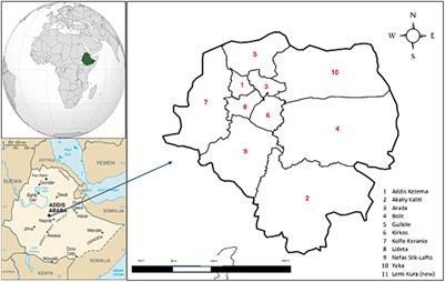 COVID-19 patient satisfaction and associated factors in telemedicine and hybrid system